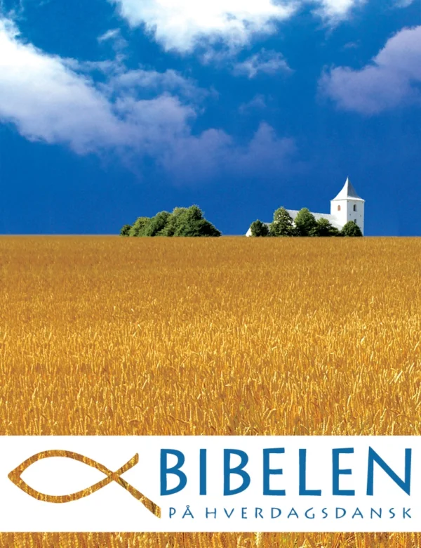 Bibelen på Hverdagsdansk - eBog Edition