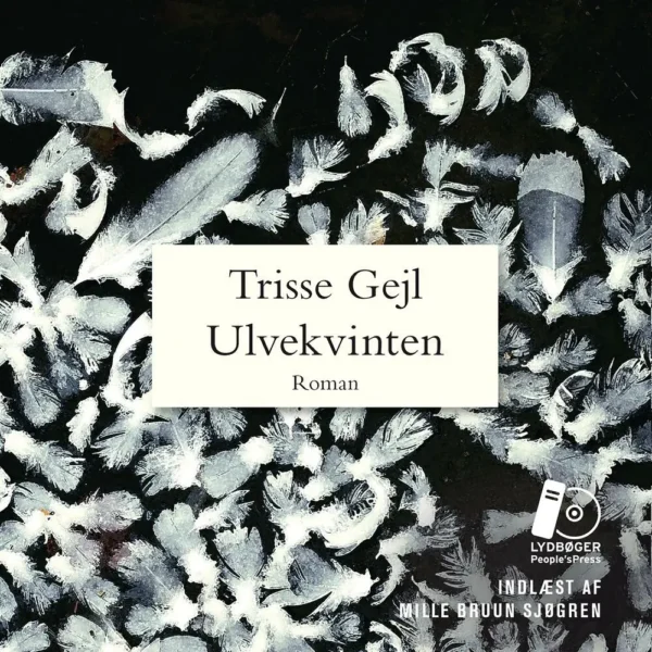 Ulvekvinten