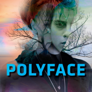 POLYFACE