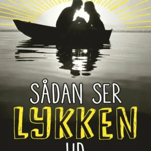 Sådan ser lykken ud