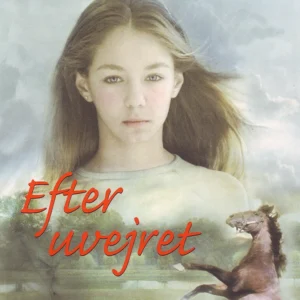 Efter uvejret