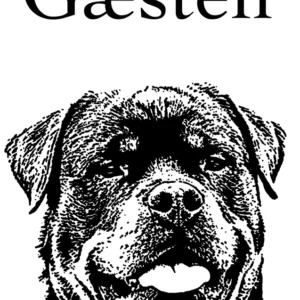 Gæsten