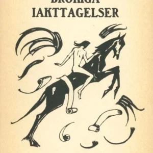 Brokiga iakttagelser