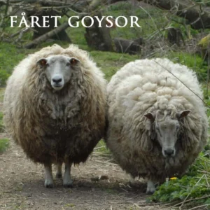 Fåret Goysor