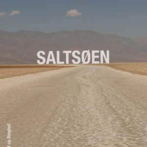 Saltsøen