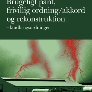 Brugeligt pant  -  frivillig ordning/akkord  -  rekonstruktion
