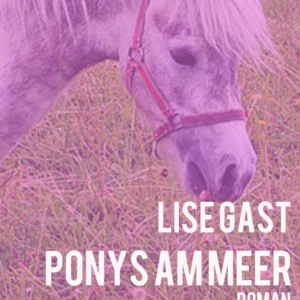 Ponys am Meer