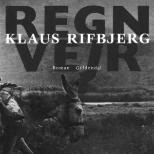 Regnvejr