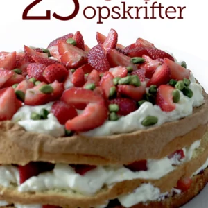 25 lagkageopskrifter