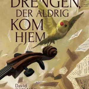 Drengen, der aldrig kom hjem