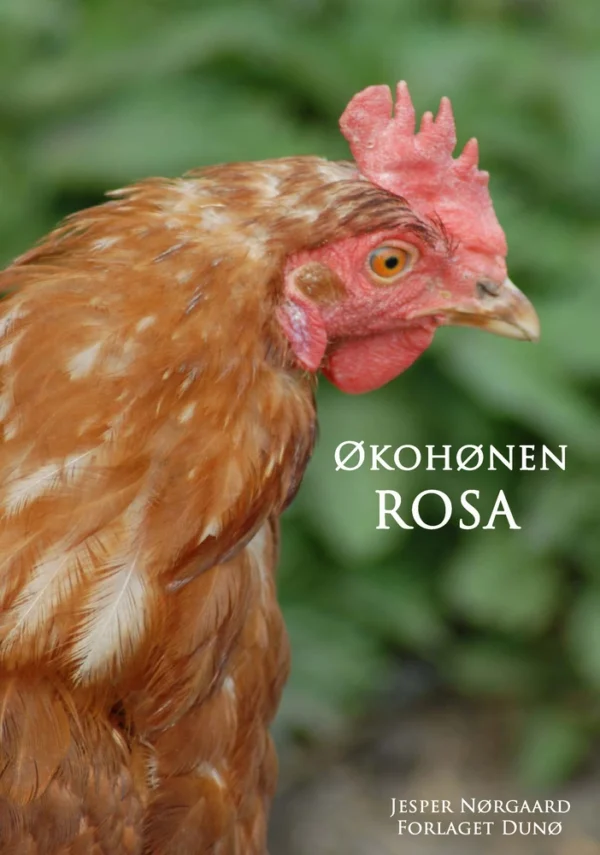 Økohønen Rosa