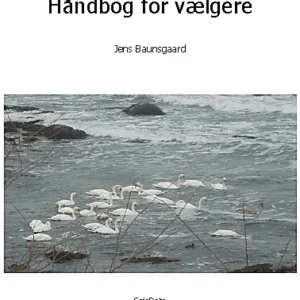 Håndbog for vælgere
