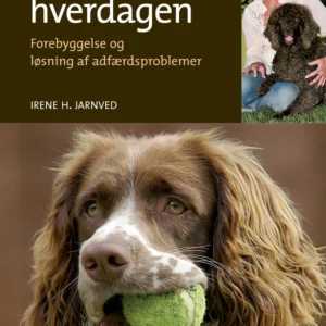 Hunden i hverdagen
