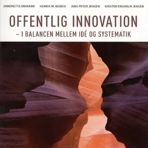 Offentlig Innovation - I ballance mellem idé og systematik