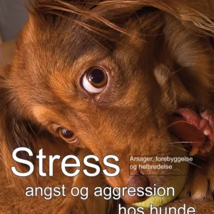 Stress, angst og aggression hos hunde