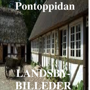 Landsbybilleder