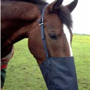 Muleposen