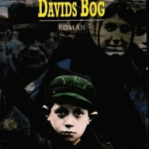 Davids bog