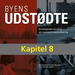 Opkomsten af den avancerede marginalisering