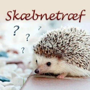 Skæbnetræf