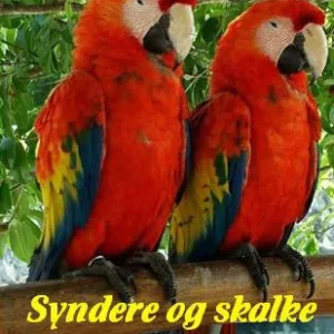 Syndere og skalke