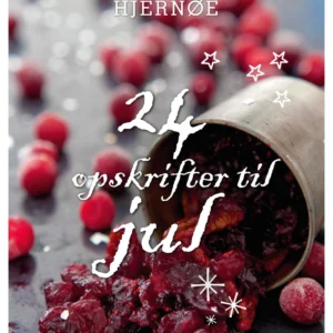 24 opskrifter til jul