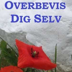 Overbevis dig selv