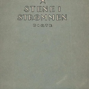 Stene i strømmen