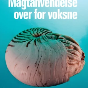 Magtanvendelse over for voksne