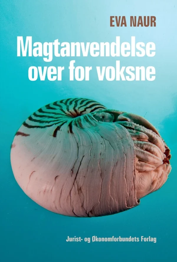 Magtanvendelse over for voksne