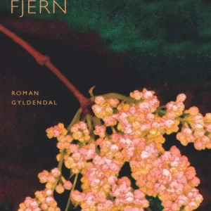Nær og fjern