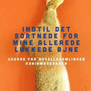 Indtil det sortnede for mine allerede lukkede øjne
