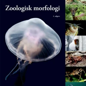 Zoologisk morfologi