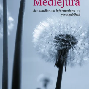 Mediejura
