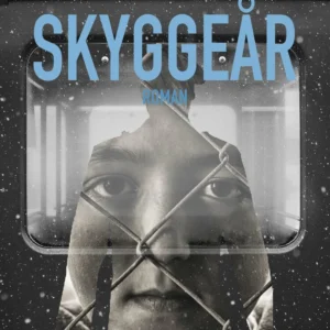 Skyggeår