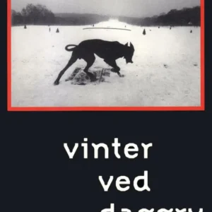 Vinter ved daggry