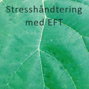 Stresshåndtering med EFT