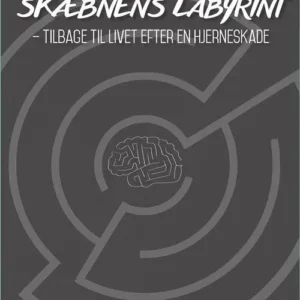 Skæbnens labyrint