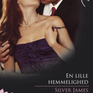 En lille hemmelighed/Valentines baby