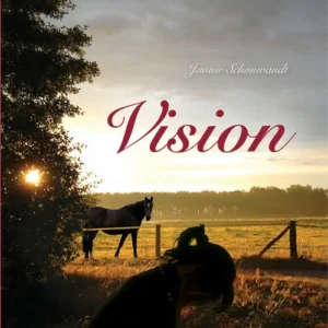 Vision