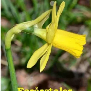 Forårstaler