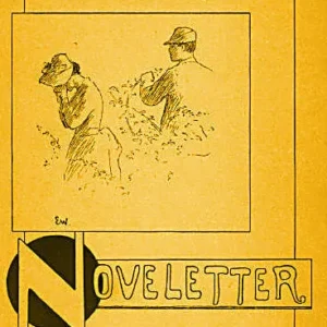 Noveletter