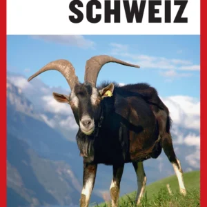 Turen går til Schweiz