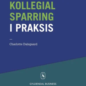 Kollegial sparring i praksis