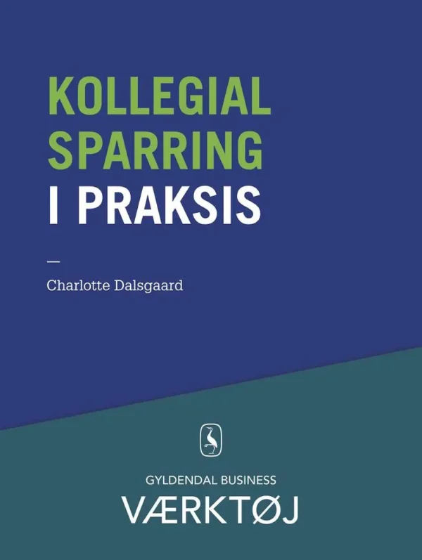 Kollegial sparring i praksis