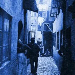 Halvmennesker