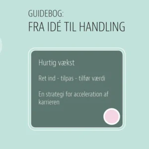 Hurtig vækst, Ret ind  -  tilpas  -  tilfør værdi