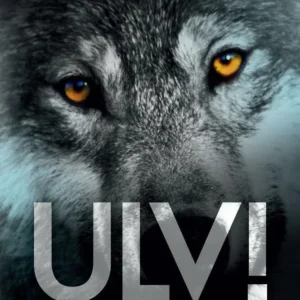 Ulv