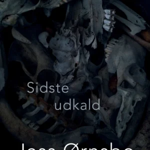 Sidste udkald