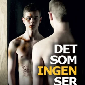 Det som ingen ser